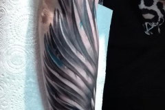 Татуировка : Крылья на предплечье
