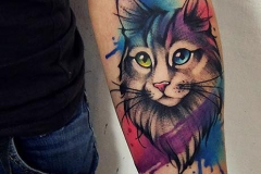 Татуировка : Кошка, Животные, Цветные на предплечье