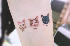 Татуировка : Животные, Кошка, Цветные на предплечье