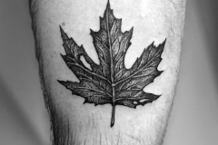 Татуировка : Листья на предплечье