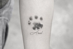 Татуировка : Животные, Надпись, Мини на предплечье