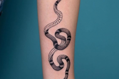 Татуировка : Змея на предплечье