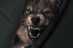 Татуировка : Волк, Животные, Ворон, Птицы, Цветные на предплечье