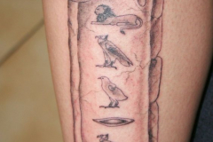Татуировка : Животные, Иероглифы на предплечье