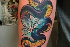 Татуировка : Змея, Цветные на предплечье
