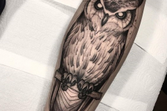 Татуировка : Сова, Птицы на предплечье