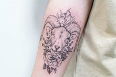 Татуировка : Зодиак, Животные, Цветы на предплечье