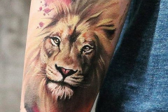 Татуировка : Лев, Животные, Цветные на предплечье