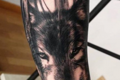 Татуировка : Волк, Люди, Животные на предплечье
