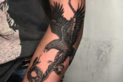 Татуировка : Орел, Змея, Птицы на предплечье