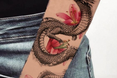 Татуировка : Змея, Цветы, Цветные на предплечье