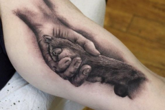 Татуировка : Руки, Животные на предплечье