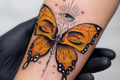 Татуировка : Бабочка, Цветные на предплечье