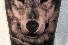 Татуировка : Волк, Животные, Рукав на предплечье