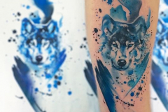 Татуировка : Волк, Животные, Цветные на предплечье