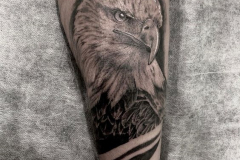 Татуировка : Орел, Птицы на предплечье