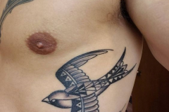 Татуировка : Птицы, Ласточка на ребрах