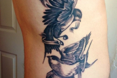 Татуировка : Птицы, Ласточка на ребрах
