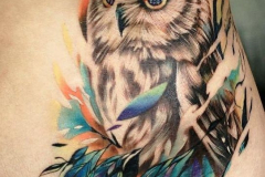 Татуировка : Птицы, Цветные, Сова на ребрах