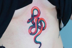 Татуировка : Цветные, Змея на ребрах