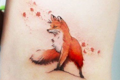 Татуировка : Животные, Лиса, Цветные на ребрах