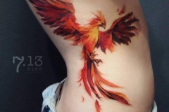 Татуировка : Птицы, Цветные на ребрах