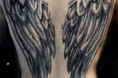 Татуировка : Крылья на спине