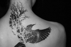 Татуировка : Птицы на спине