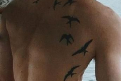Тату : Птицы на спине