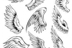 Татуировка : Крылья