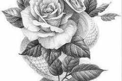 Наколка : Цветы, Роза - эскиз