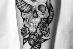 Татуировка : Череп, Роза, Змея - эскиз