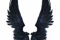 Наколка : Крылья