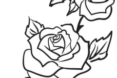 Наколка : Роза, Цветы - эскиз