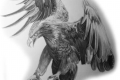 Татуировка : Птицы, Орел - эскиз