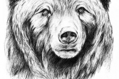 Татуировка : Медведь, Животные