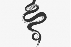 Наколка : Змея - эскиз