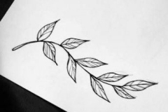 Наколка : Листья - эскиз